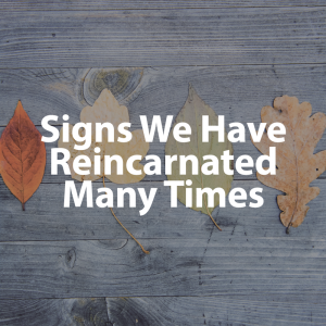 Signs We Have Reincarnated Blog by Lori Lines