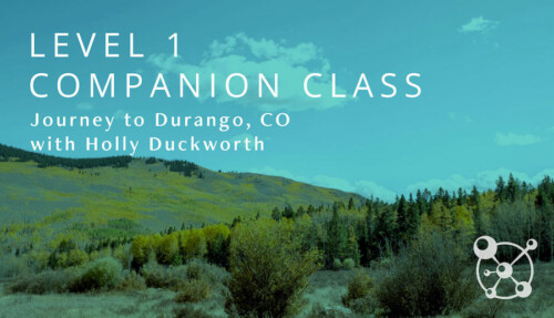 Level 1 Companion Course with Holly Duckworth