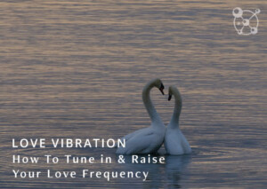 Love Vibration