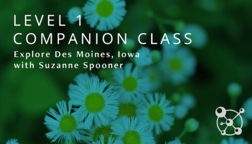Level 1 Companion Course Des Moines