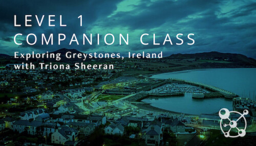 Level 1 Companion Ireland
