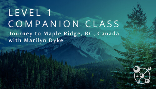 Level 1 Companion Course Marilyn Dyke