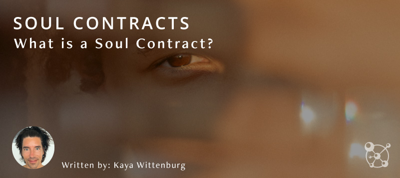 Social Contracts