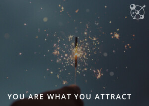 You Are What You Attract