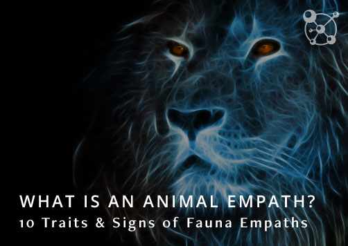 Animal Empath Signs