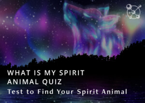 What is My Spirit Animal