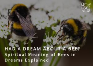 Spiritual Meaning of Bees in Your Dreams