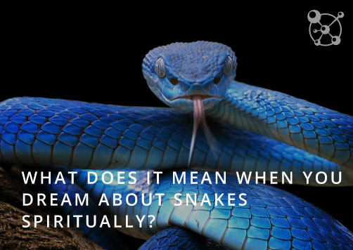 What does it mean when you dream about snakes?