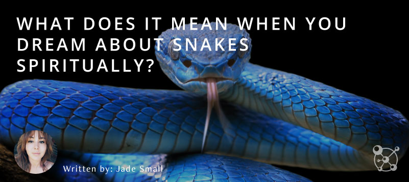 What does it mean when you dream about snakes?