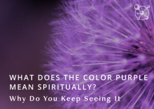 What Does the Color Purple Mean Spiritually?
