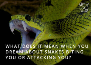 Snakes biting you in your dreams