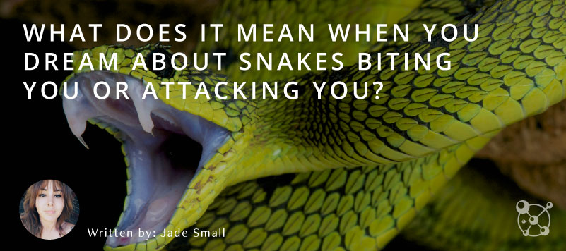 Snakes biting you in your dreams