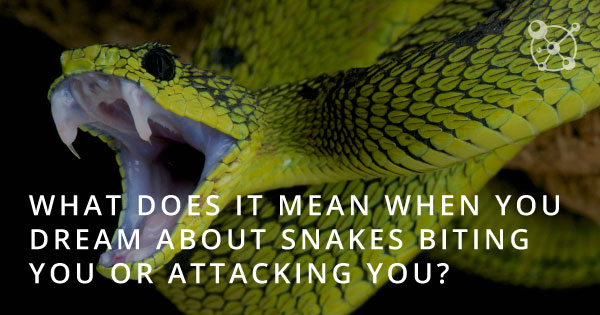 What Does it Mean When You Dream About Snakes Biting You or Attacking You?