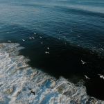 screen-shot-2020-08-15-at-1