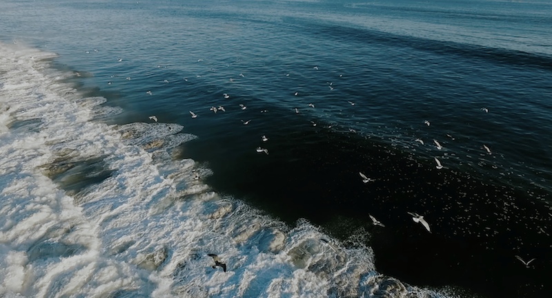 screen-shot-2020-08-15-at-1